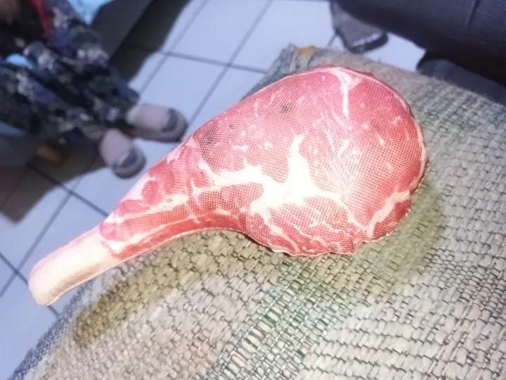 Surowe zdjęcie produktu wejściowego: pluszowy stek dla psa
